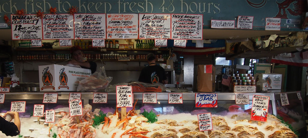 Green Legion Seattle 2023 Trip