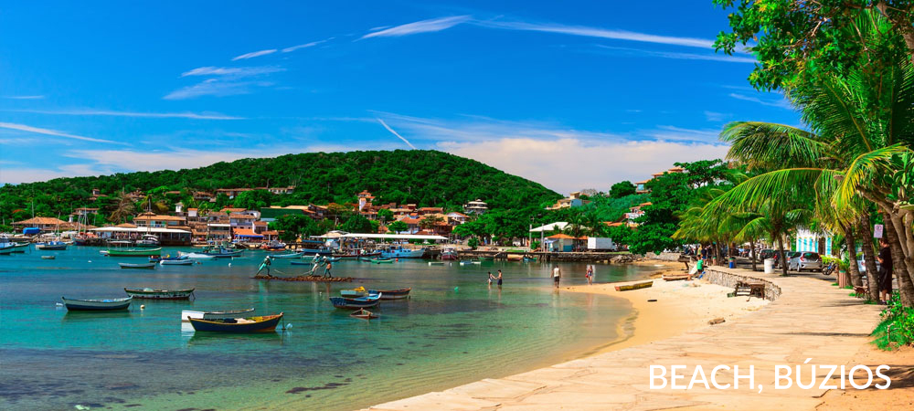 Green Legion Brazil 20204