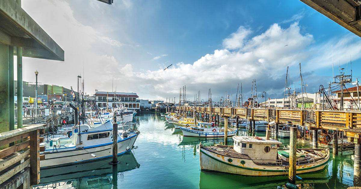 2026 SAN FRANSCISCO/SANTA CLARA INVASION!