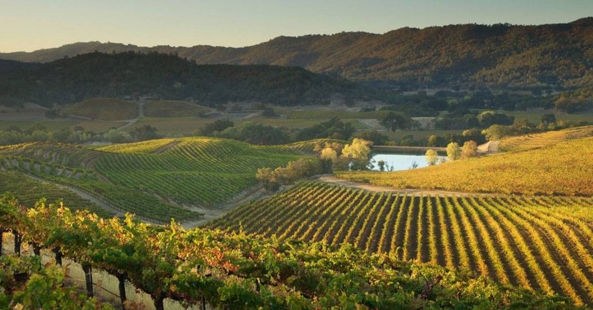 2026 SAN FRANSCISCO/SANTA CLARA INVASION!